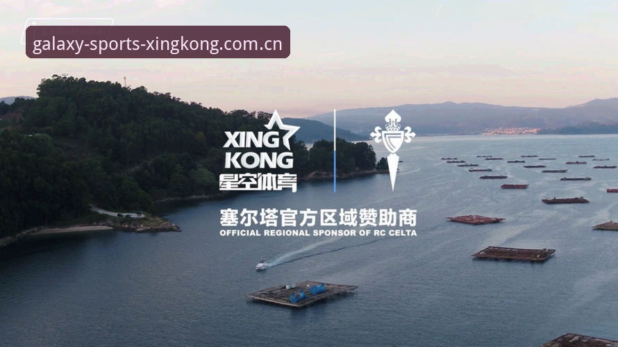 星空体育平台功能解析与使用指南