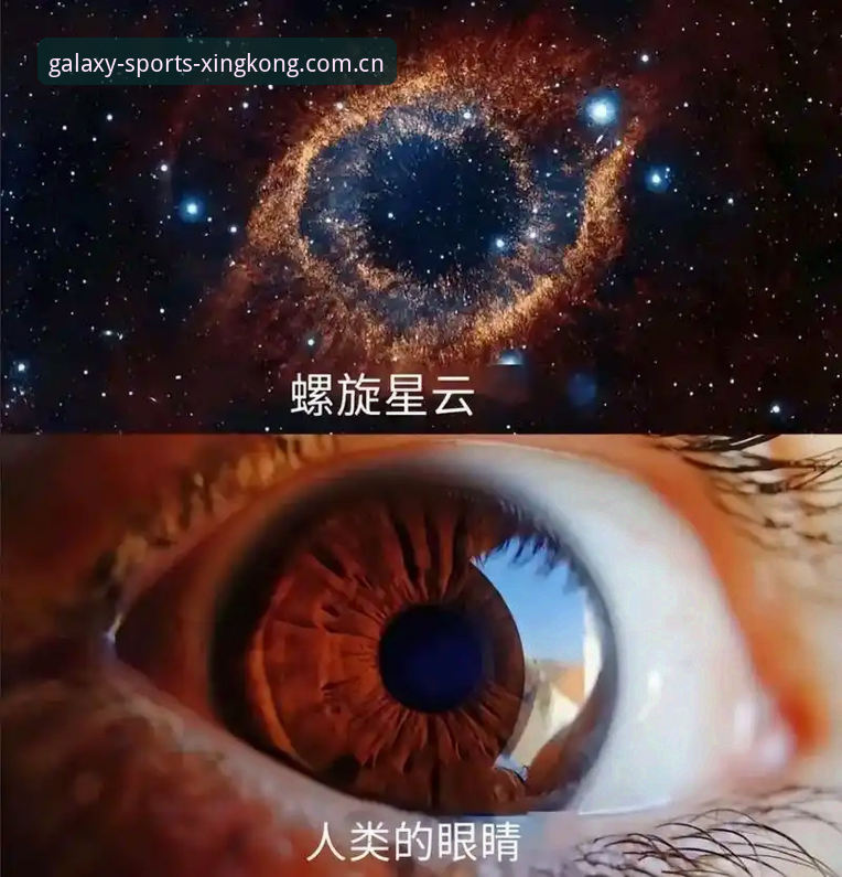 星空体育平台登录必备详解：从注册到投注的完整操作指南